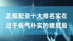 正规配资十大排名实在过于俗气朴实的猪屁股